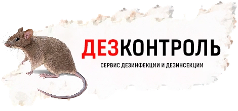 Дезконтроль – Дезинсекция и дератизация в Ульяновске и Ульяновской области